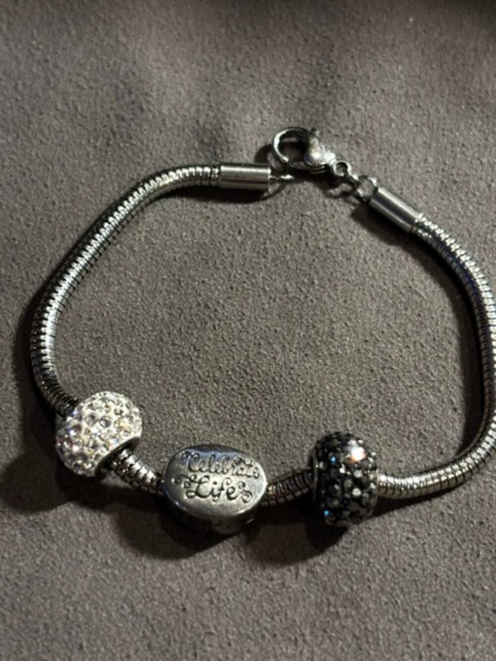 Snake-Bone Stainless Steel Bracelet
